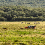 Många förändringar i Safari Rally Kenya 2026