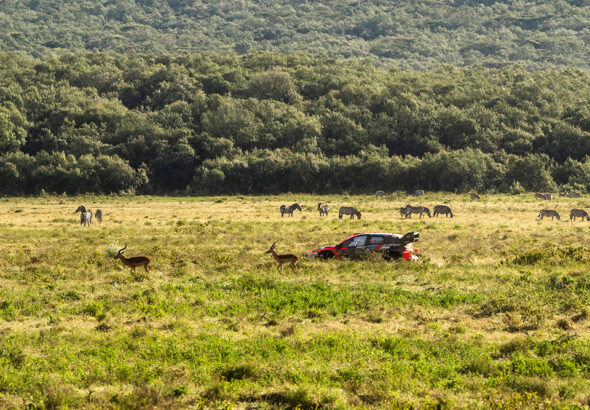 Många förändringar i Safari Rally Kenya 2026