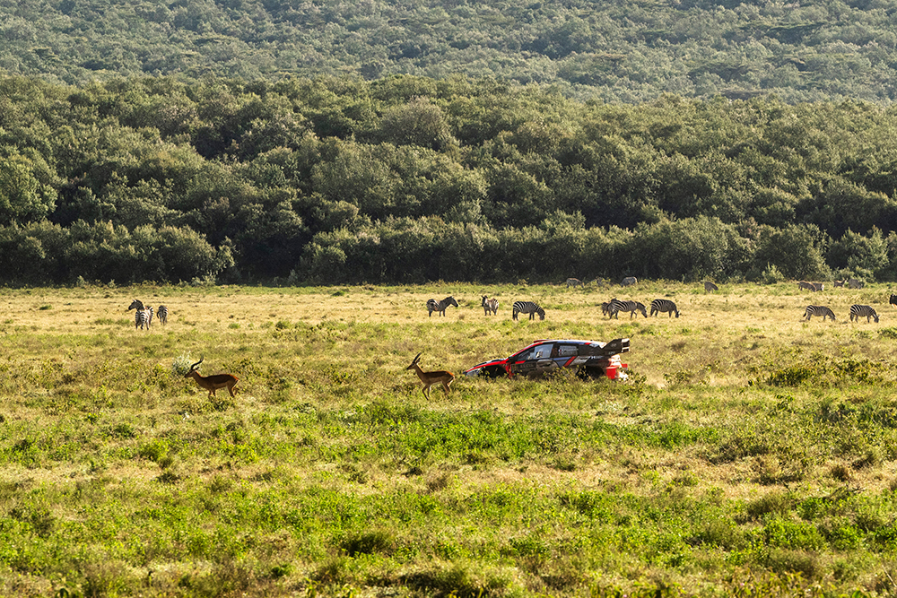 Många förändringar i Safari Rally Kenya 2026